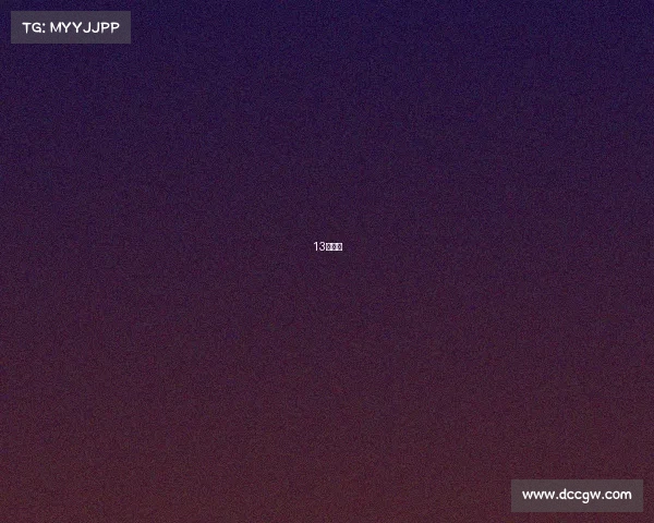 13个冠军 13个冠军